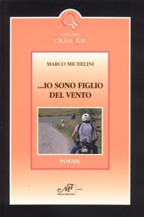 copertina libro Michelini