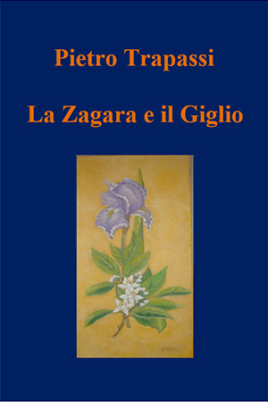 copertina libro Trapassi